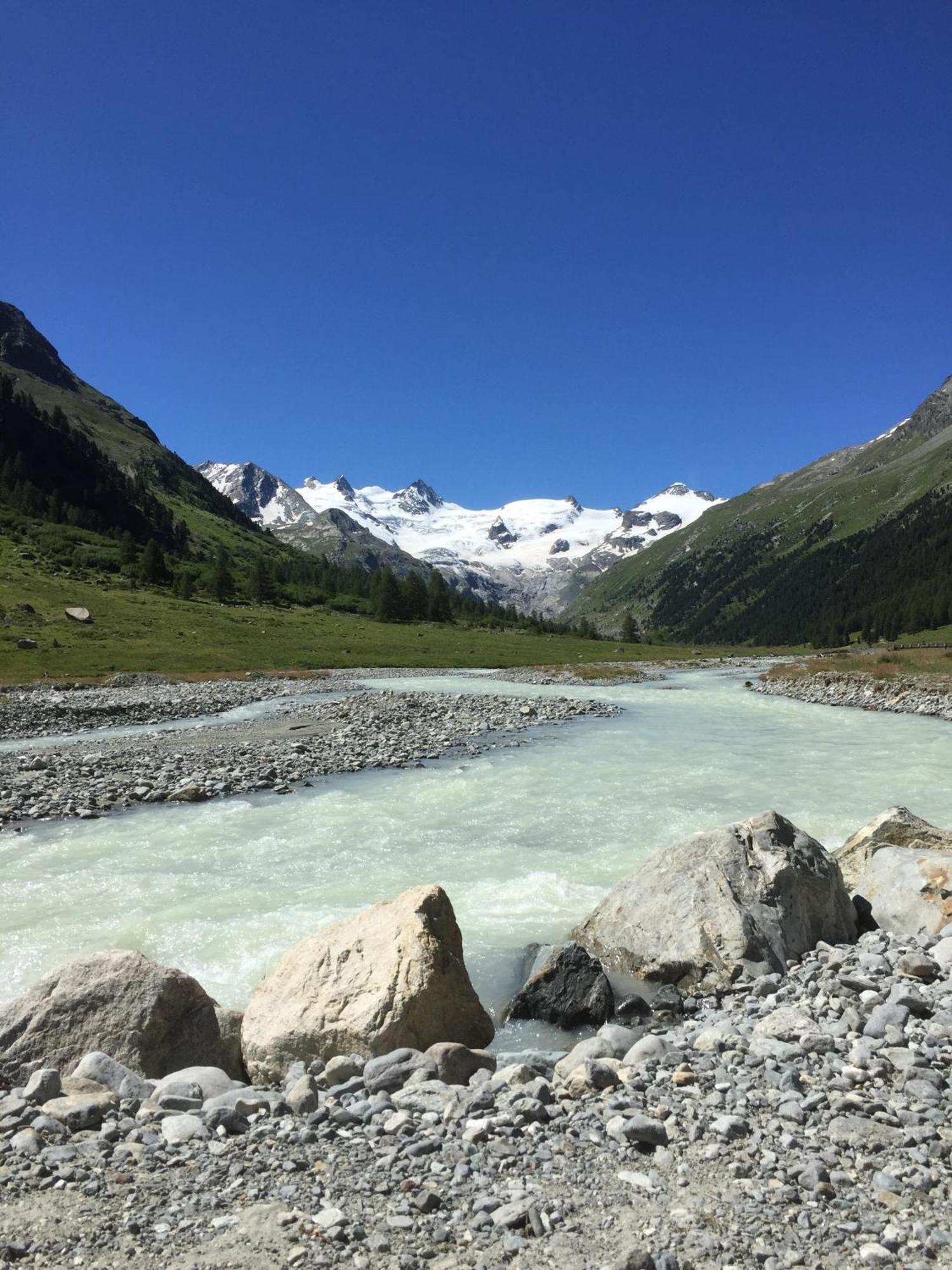 Hotel Roseg-Gletscher Pontresina Exterior foto