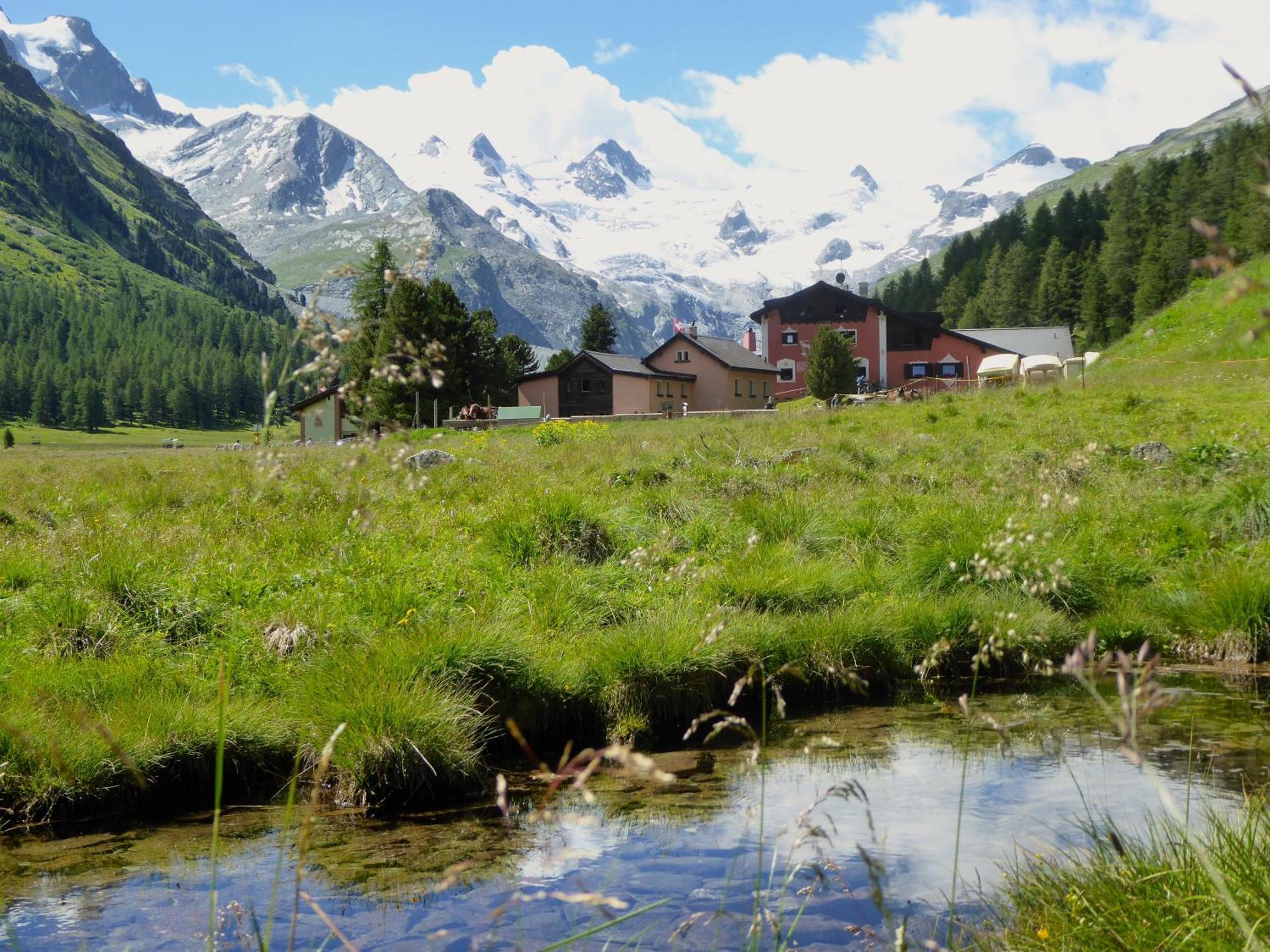 Hotel Roseg-Gletscher Pontresina Exterior foto