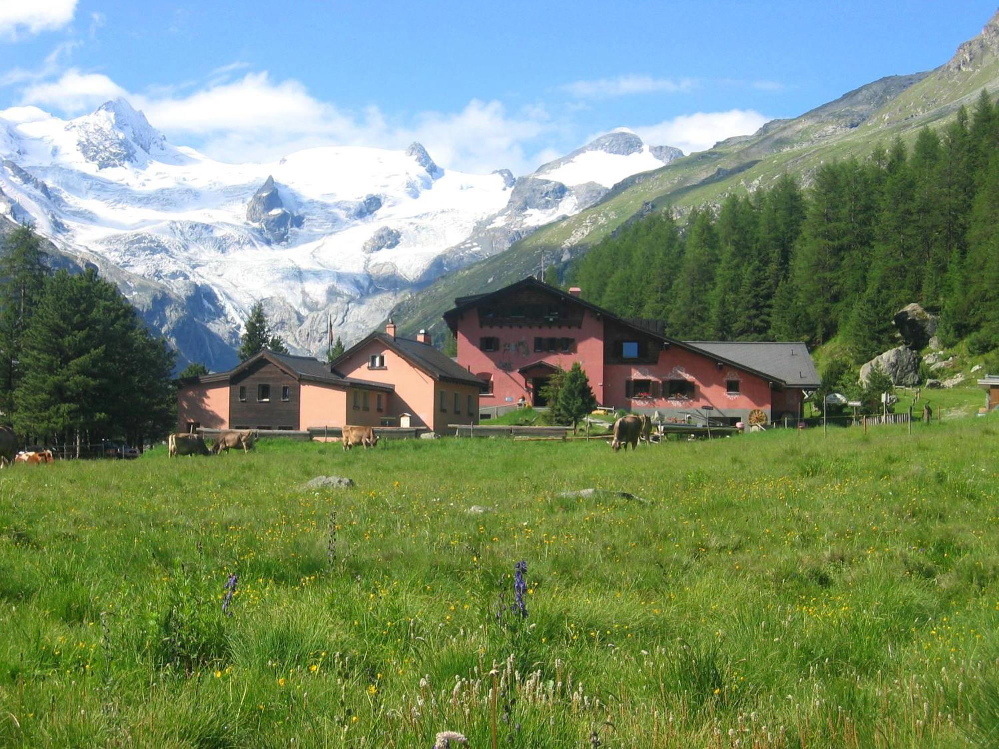 Hotel Roseg-Gletscher Pontresina Cameră foto